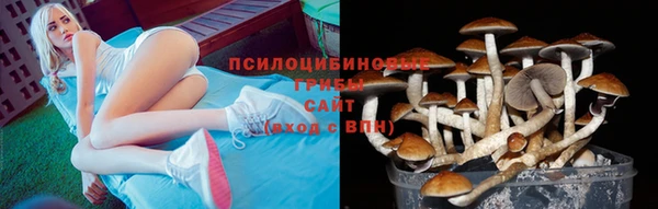не бодяженный Нефтекумск